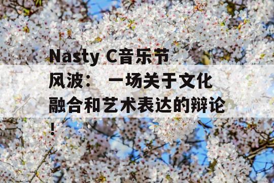 Nasty C音乐节风波： 一场关于文化融合和艺术表达的辩论！